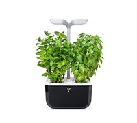 Veritable Véritable Exky SMART Indoor-Garten, Sanftes Schwarz