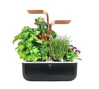 Veritable Véritable SMART Selbstversorgender Indoor-Garten, Kupfer