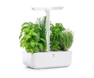 Veritable Véritable CLASSIC Selbstversorgender Indoor-Garten