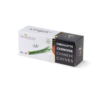 Lingot® Erba cipollina cinese BIO - Compatibile con Orti Interni Véritable® ed Exky® - Ricarica pronta all'uso - Substrato con Semi Integrati