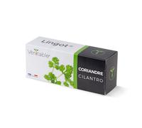 Veritable Véritable Lingot Cilantro - vorgesäte Erde