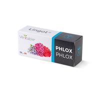 Veritable Véritable Lingot Phlox - Vorbepflanzte Erde