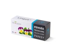 Veritable Véritable Lingot Stiefmütterchen - vorbepflanzte Erde