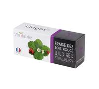 Veritable Véritable Lingot Wilde Rote Erdbeere - Vorbepflanzte Erde