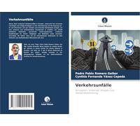 Verkehrsunfälle: Konzeption, Unfallrate, Schäden und Standortbestimmung