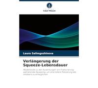 Verlängerung der Squeeze-Lebensdauer: Modellstudie zu den Auswirkungen von Frakturierung während des Squeezing, um eine tiefere Platzierung des Inhibitors zu ermöglichen