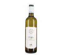 Vermentino di Sardegna 'Billia' Cherchi 2025