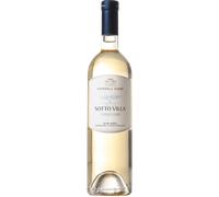 Vermentino Sotto Villa 2024 - Fattoria Sardi Colline Lucchesi Bianco