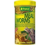 Tropical Meal Worms 250ml