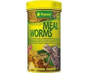 Vermi della farina tropicali 250 ml