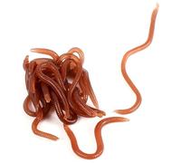 Vermi Morbide Esche da Pesca, Verme Artificiale Artificiali Larve di Lombrico Finto 10cm Rossi Compostaggio Marine In Stecca Con Scatola per Pescatori Esca Morbida Simulazione Worm Strong Tentazione