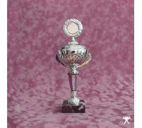 Verner Crash of the Web Era (Vinyl LP) 12" EP