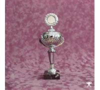 Verner Crash of the Web Era (Vinyl LP) 12" EP