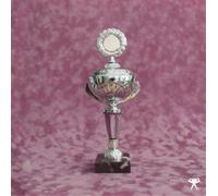 Verner Crash of the Web Era (Vinyl LP) 12" EP