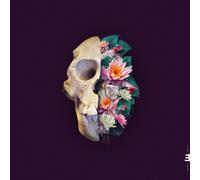 Verneri Pohjola Monkey Mind (Vinyl LP) 12" Album
