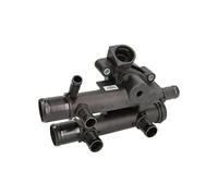 Termostato, refrigerante CALORSTAT BY VERNET TH6970.83J