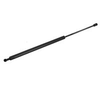 Vernice Del Bagagliaio Per CITROEN BERLINGO FIRST PEUGEOT PARTNER 8731.EO 8731EO