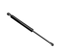 Vernice Del Bagagliaio Per CITROEN C4 2004-2011 8731.J8 8731J8 9647295480