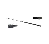 Vernice Del Bagagliaio Per HONDA CIVIC VII 2001-2005 74820-S5S-E01 74820S5SE01