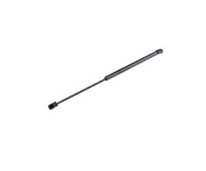 Vernice Del Bagagliaio Per RENAULT MEGANE III KZ0/1 844300009R