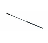 NTY CTM-CT-002 Termostato motore