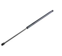 Vernice Del Portellone Per KIA GRAND CARNIVAL 2006-2010 817714D000