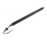 Vernice Del Portellone Sinistro Per Renault Austral 904519468R
