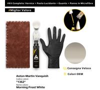 Vernice di ritocco per Aston Martin Vanquish Kit 1362 Morning Frost White