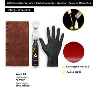 Vernice di ritocco per Audi Q1 Kit LY9C Ibis White