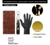Vernice di ritocco per Audi S3 Kit LX1W Python Yellow