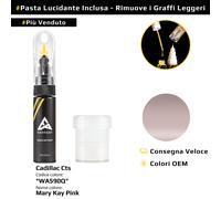 Vernice di ritocco per Cadillac Cts Codice: WA590Q Mary Kay Pink