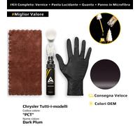 Vernice di ritocco per Chrysler Tutti i modelli Kit PCT Dark Plum