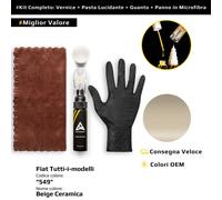 Vernice di ritocco per Fiat Tutti i modelli Kit 549 Beige Ceramica