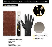 Vernice di ritocco per Ford Five Hundred Kit G3 Light French Silk