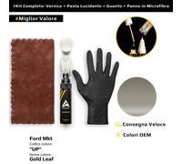 Vernice di ritocco per Ford Mkt Kit UP Gold Leaf