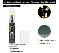 Vernice di ritocco per Ford Tutti i modelli Codice: PFQAXXG Evergreen Frost