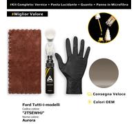 Vernice di ritocco per Ford Tutti i modelli Kit 2TSEWHJ Aurora