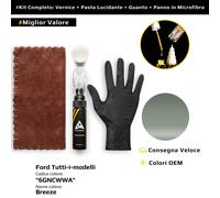 Vernice di ritocco per Ford Tutti i modelli Kit 6GNCWWA Breeze