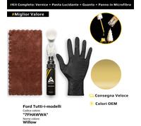 Vernice di ritocco per Ford Tutti i modelli Kit 7FHAWWA Willow