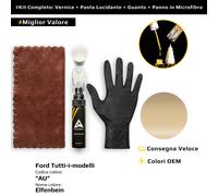 Vernice di ritocco per Ford Tutti i modelli Kit AU Elfenbein