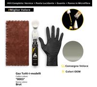 Vernice di ritocco per Gaz Tutti i modelli Kit 0003 Brut