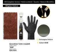 Vernice di ritocco per Gerardmer Tutti i modelli Kit 028 Gris Vert