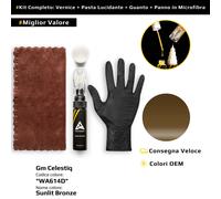 Vernice di ritocco per Gm Celestiq Kit WA614D Sunlit Bronze