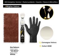 Vernice di ritocco per Gm Saturn Kit 40/8554 White
