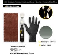 Vernice di ritocco per Gm Tutti i modelli Kit 38/WA731F Wa731F Homecoming Green