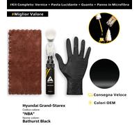 Vernice di ritocco per Hyundai Grand Starex Kit NBA Bathurst Black
