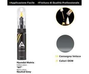 Vernice di ritocco per Hyundai Matrix Cod: NT Neutral Grey