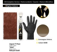 Vernice di ritocco per Jaguar F-Pace Kit GAU Halcyon Gold