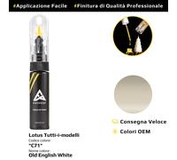 Vernice di ritocco per Lotus Tutti i modelli Cod: C71 Old English White