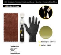 Vernice di ritocco per Opel Adam Kit 40V Lemon Tree
